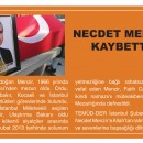 TEMÜDDER İstanbul Şube Üyemiz Necdet MENZİR Vefat Etti