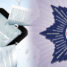 Çağın Polisi Dergisi – Sayı 185 | E-Dergi