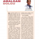 Amalgam Dolgu